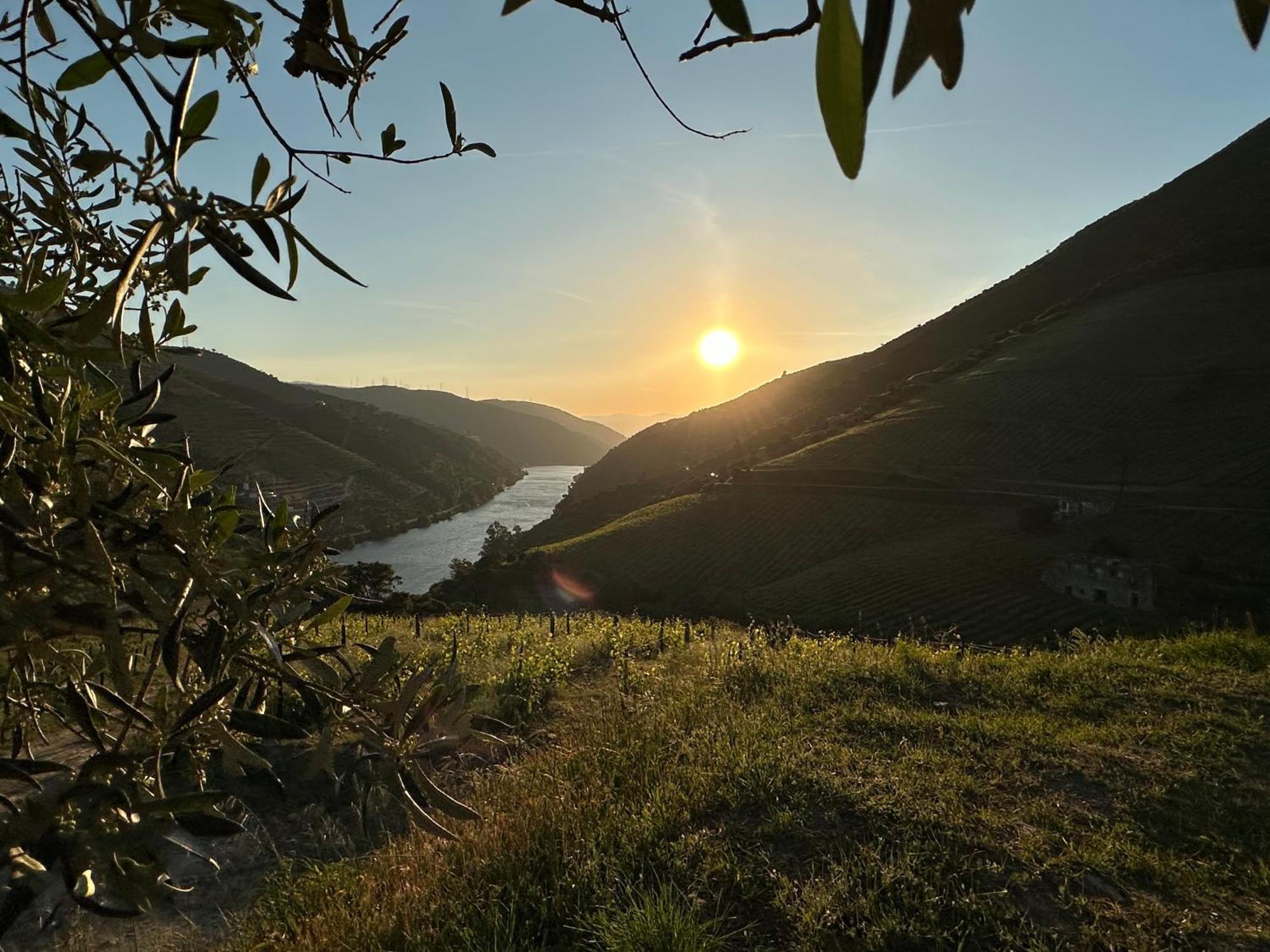 Pmdourovalley Peso da Régua المظهر الخارجي الصورة